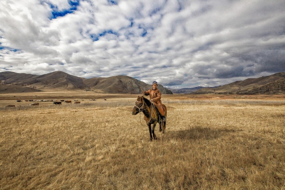 モンゴル　秋の草原